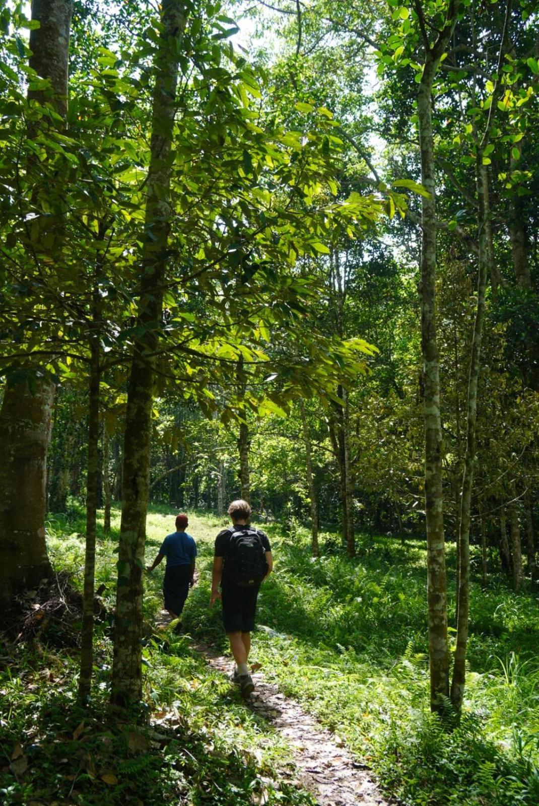 Tetebatu Indah Homestay Exteriér fotografie