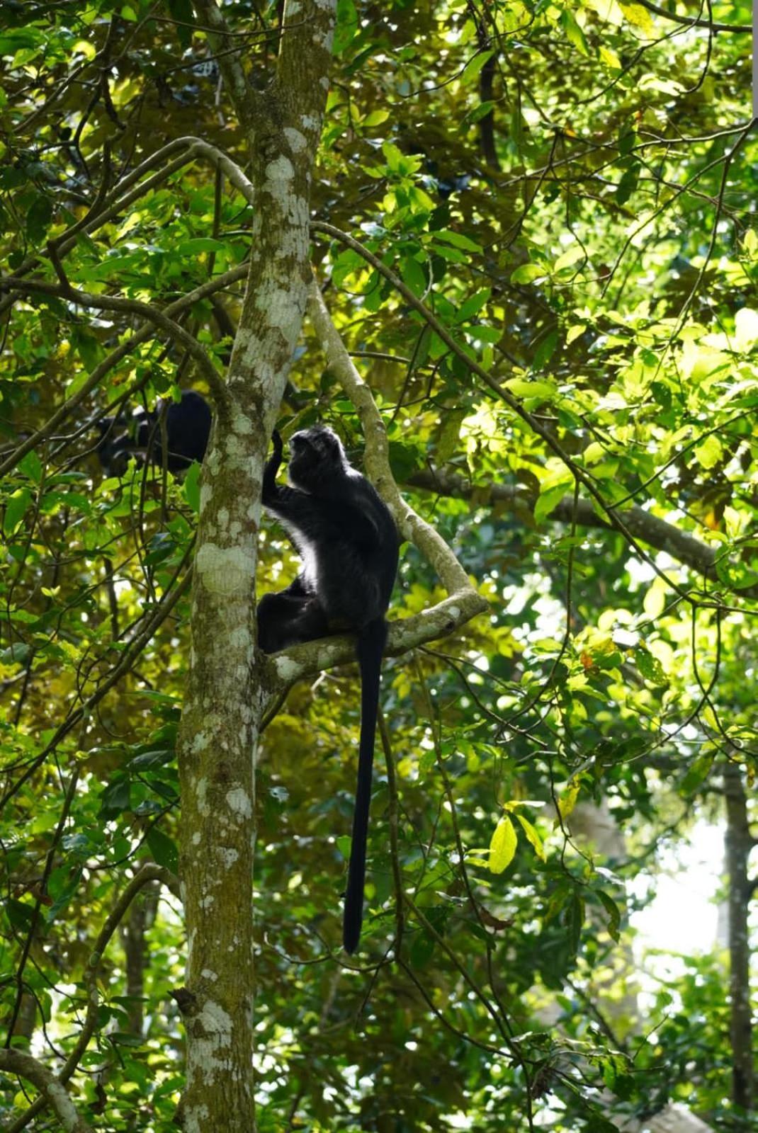 Tetebatu Indah Homestay Exteriér fotografie