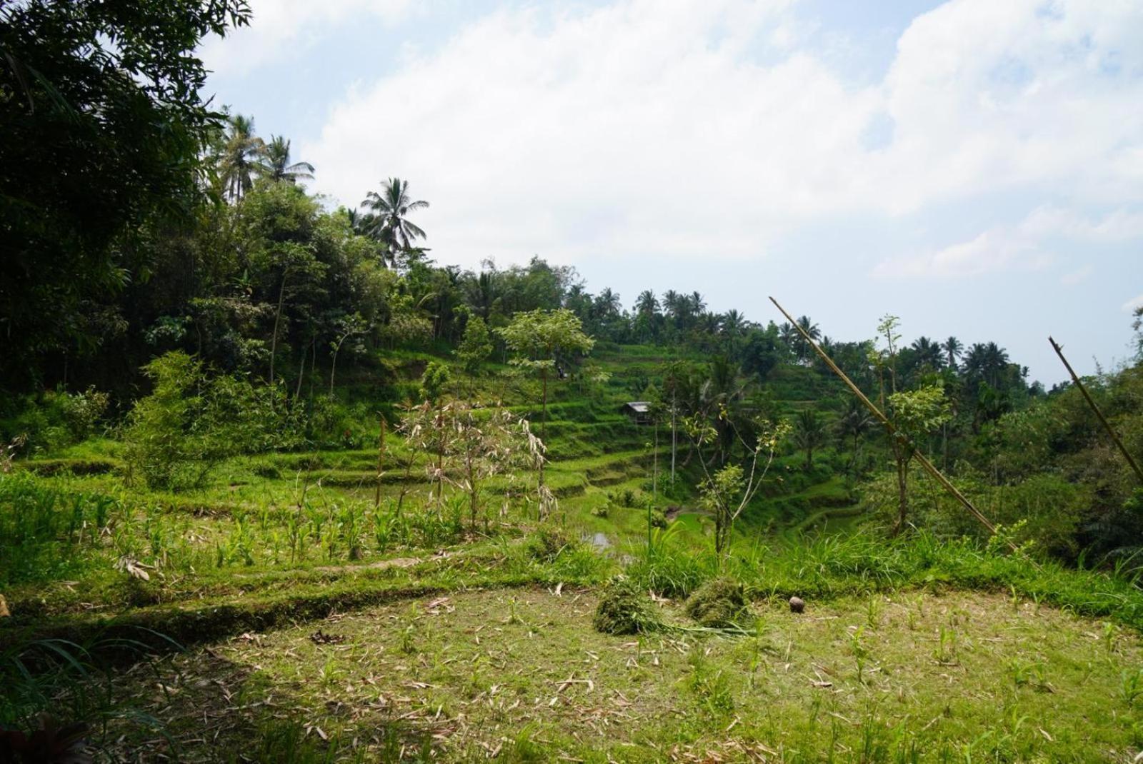 Tetebatu Indah Homestay Pokoj fotografie