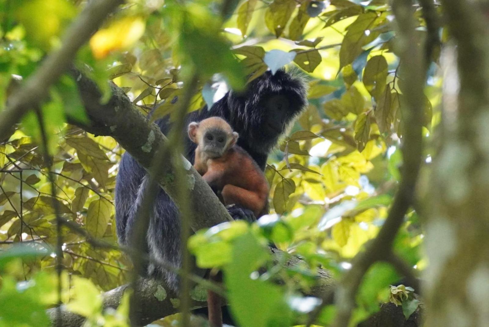 Tetebatu Indah Homestay Pokoj fotografie