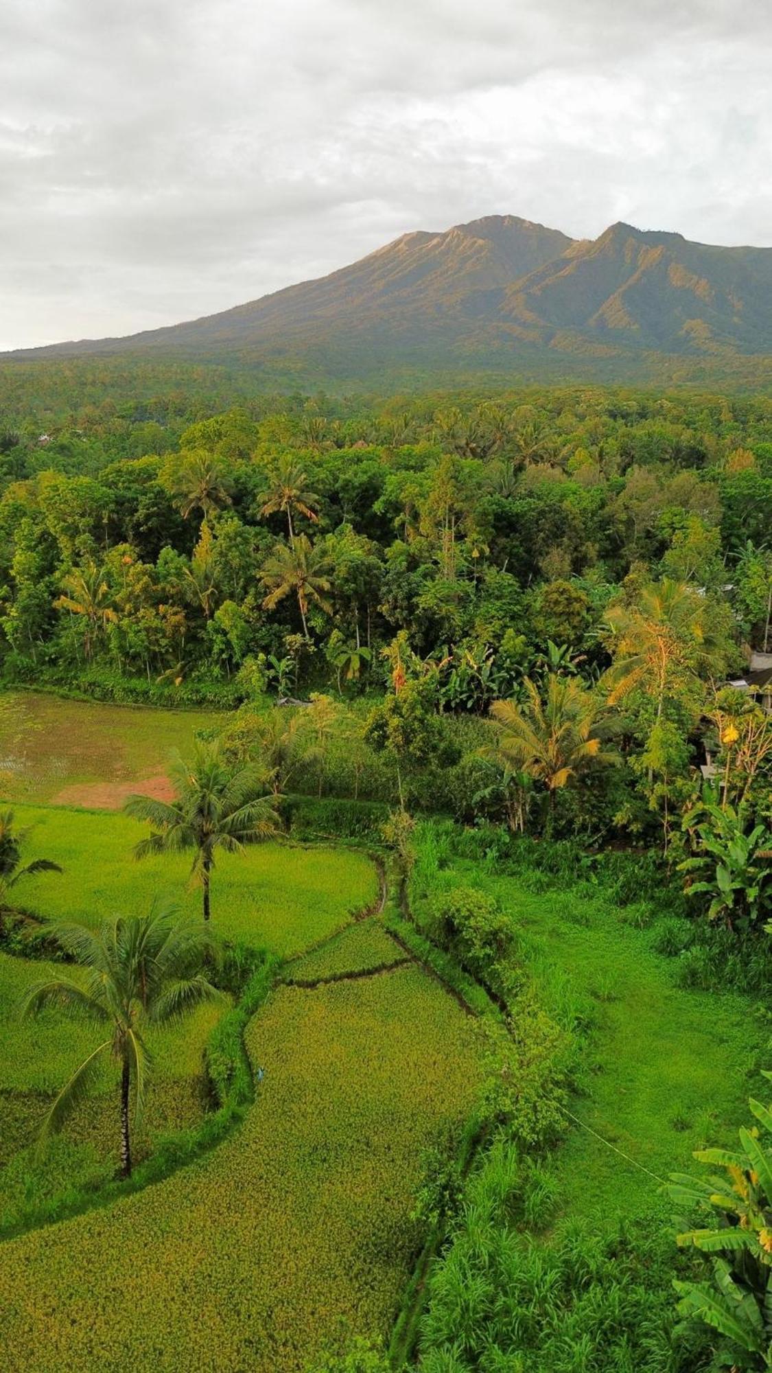 Tetebatu Indah Homestay Exteriér fotografie